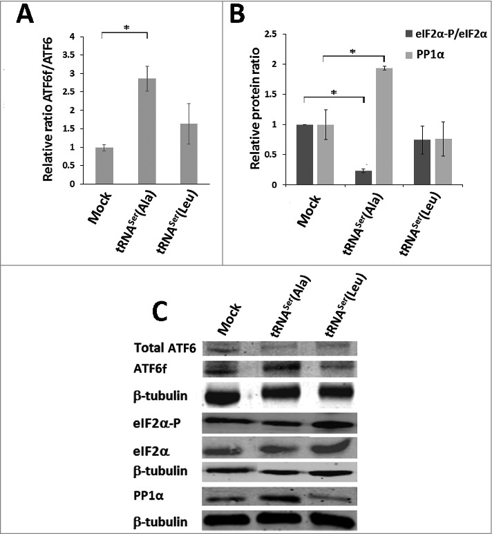 Figure 6.