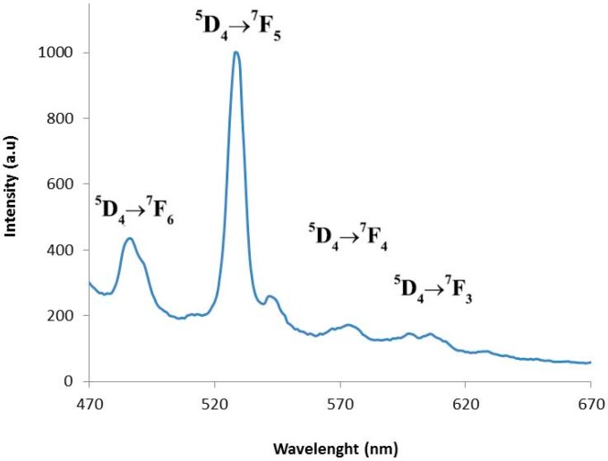 Figure 4