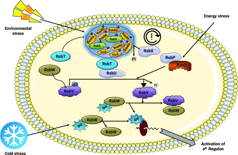 Figure 6.