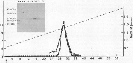 graphic file with name pnas00318-0389-a.jpg