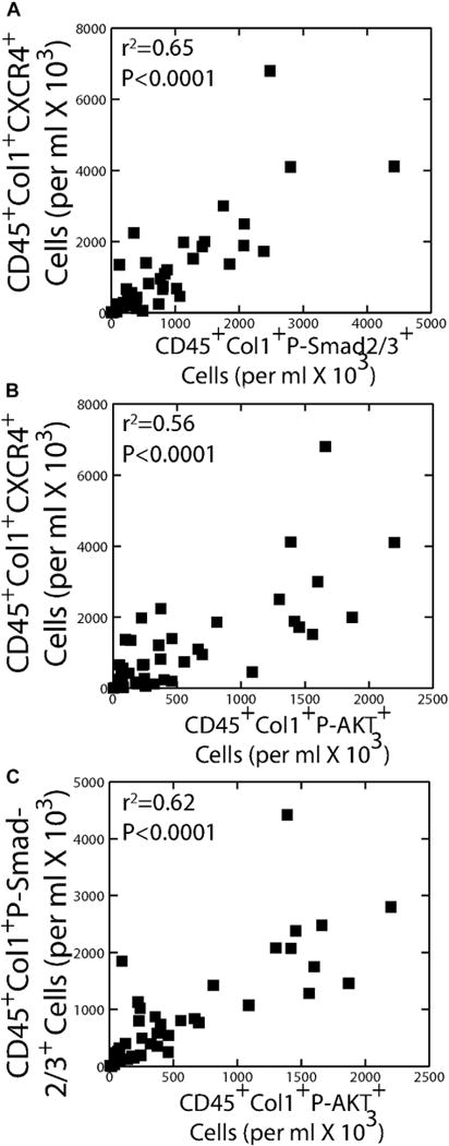 FIG 5