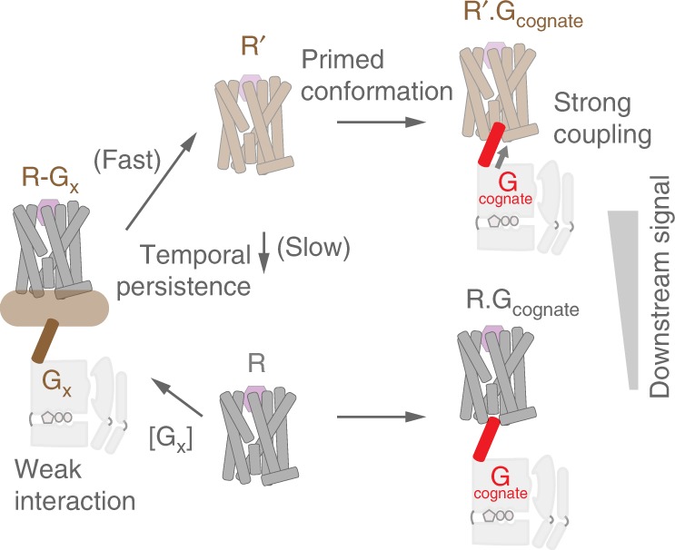 Fig. 8