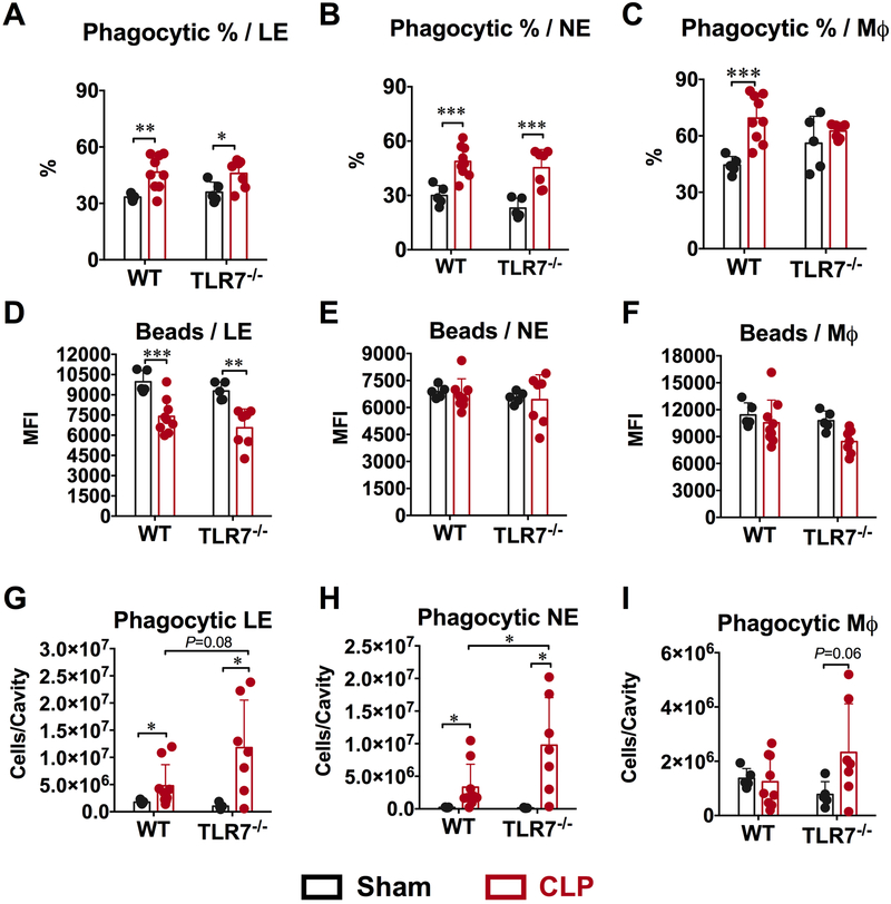 Figure 5: