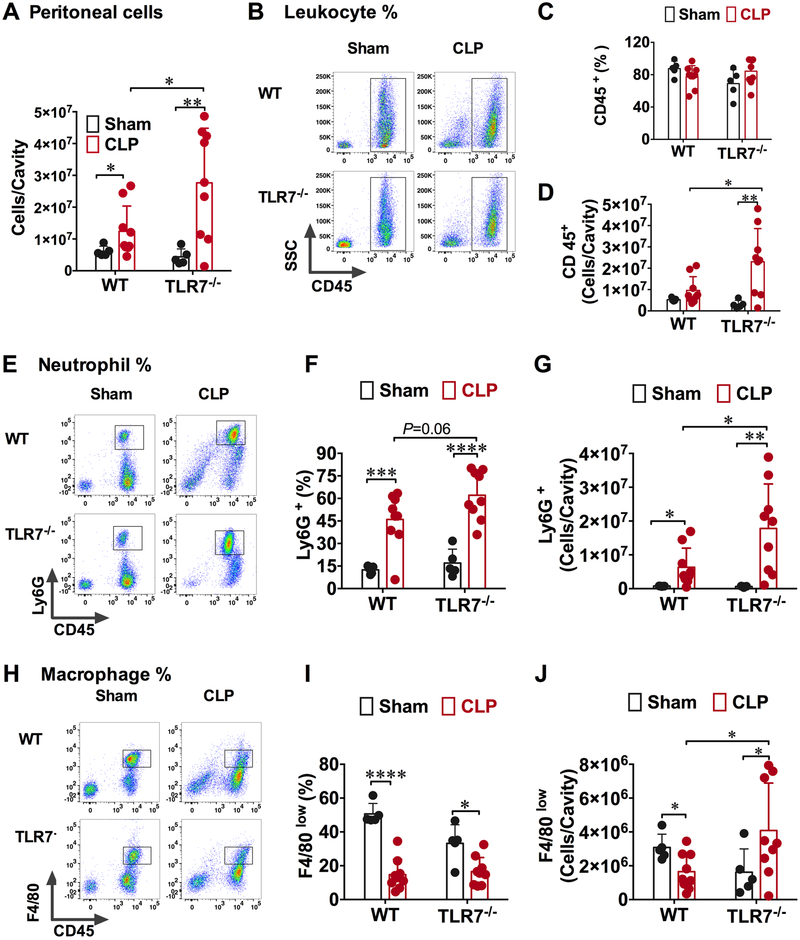 Figure 4: