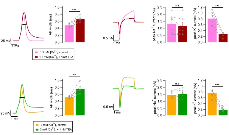 Figure 1—figure supplement 1.