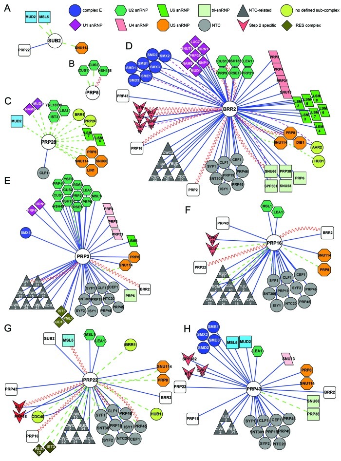 graphic file with name rna-10-83-g3.jpg