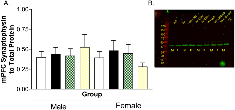 Figure 6.