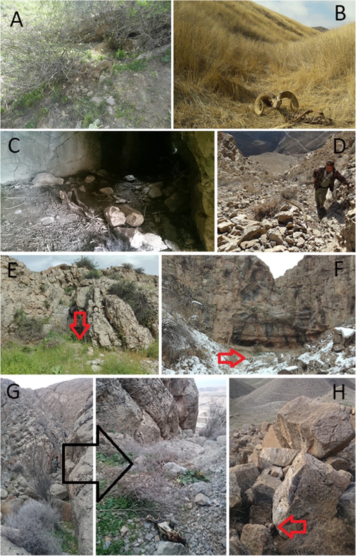 Fig. 1