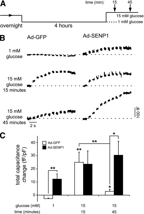 FIG. 7.