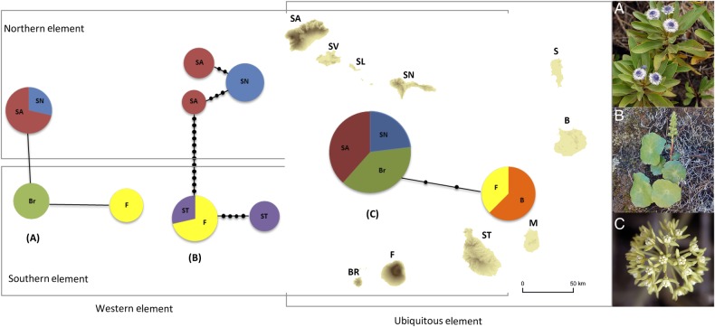 Figure 2.