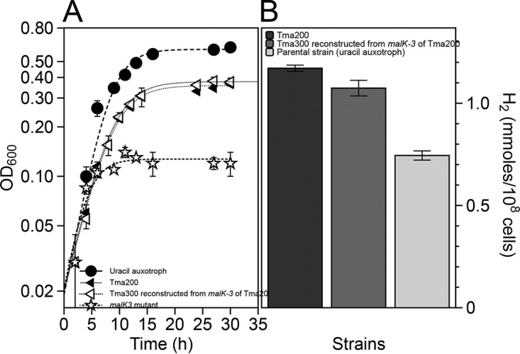 FIG 5