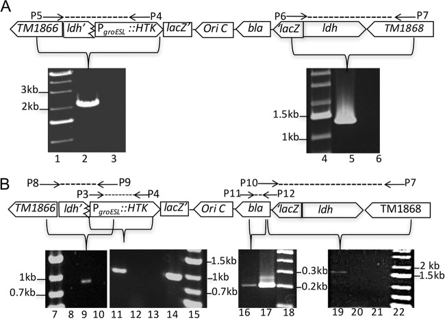 FIG 2