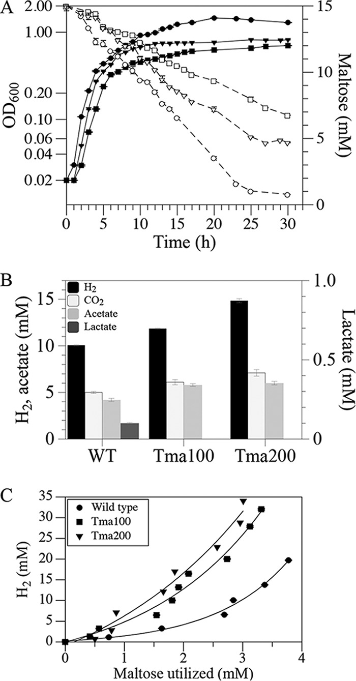 FIG 3