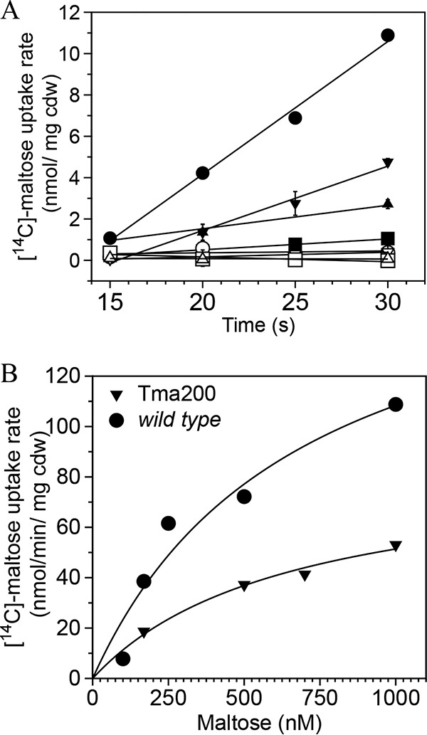 FIG 6