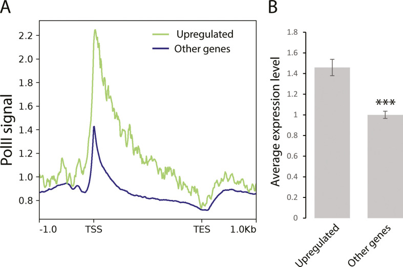 Figure 3—figure supplement 4.