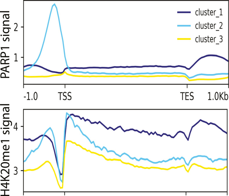 Figure 3—figure supplement 5.