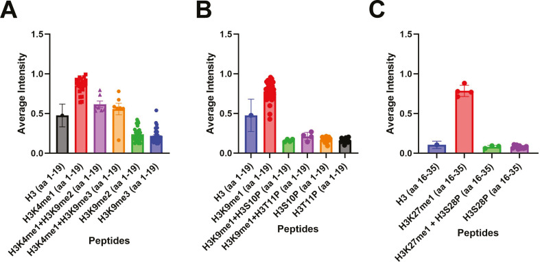 Figure 1—figure supplement 2.