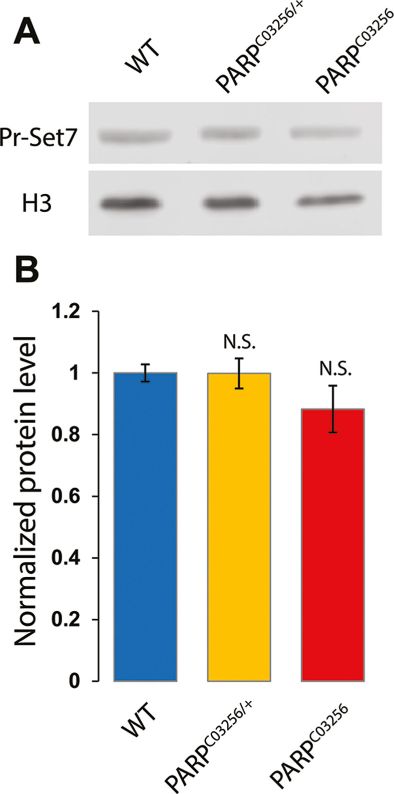 Figure 3—figure supplement 3.