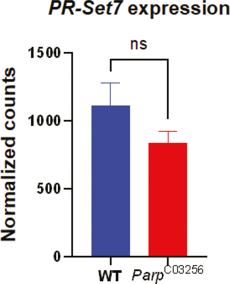 Figure 3—figure supplement 2.