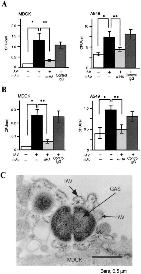 FIG. 5.