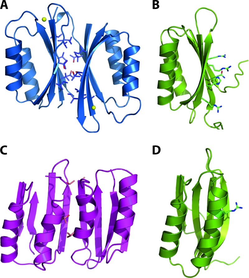 Fig 5