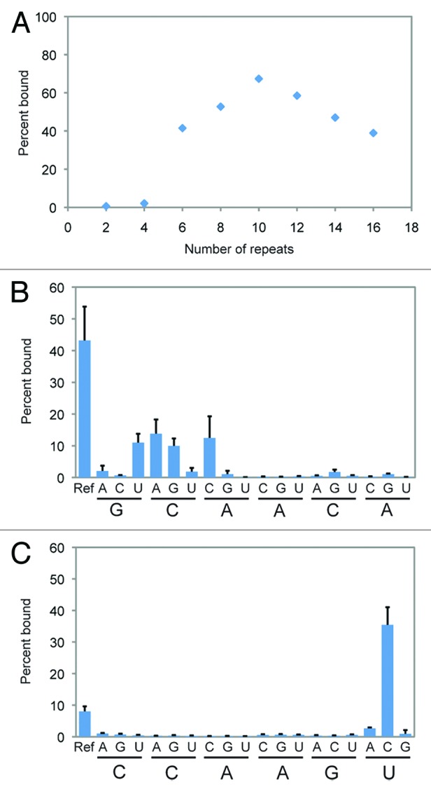 graphic file with name rna-11-682-g3.jpg