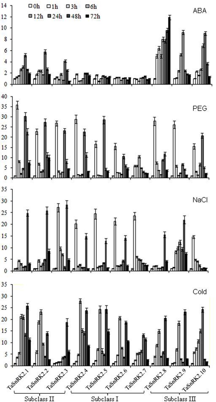 FIGURE 3