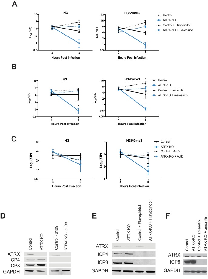 Figure 7—figure supplement 2.