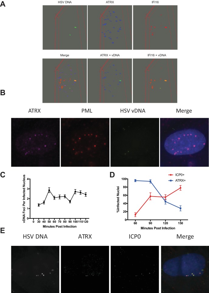 Figure 1—figure supplement 3.