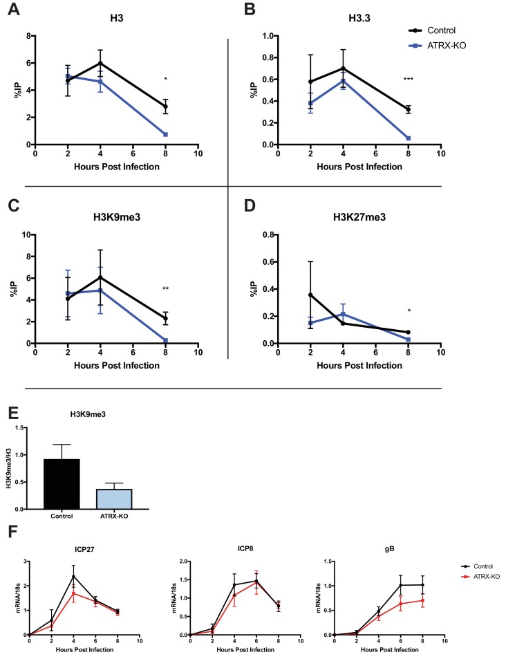 Figure 5—figure supplement 1.