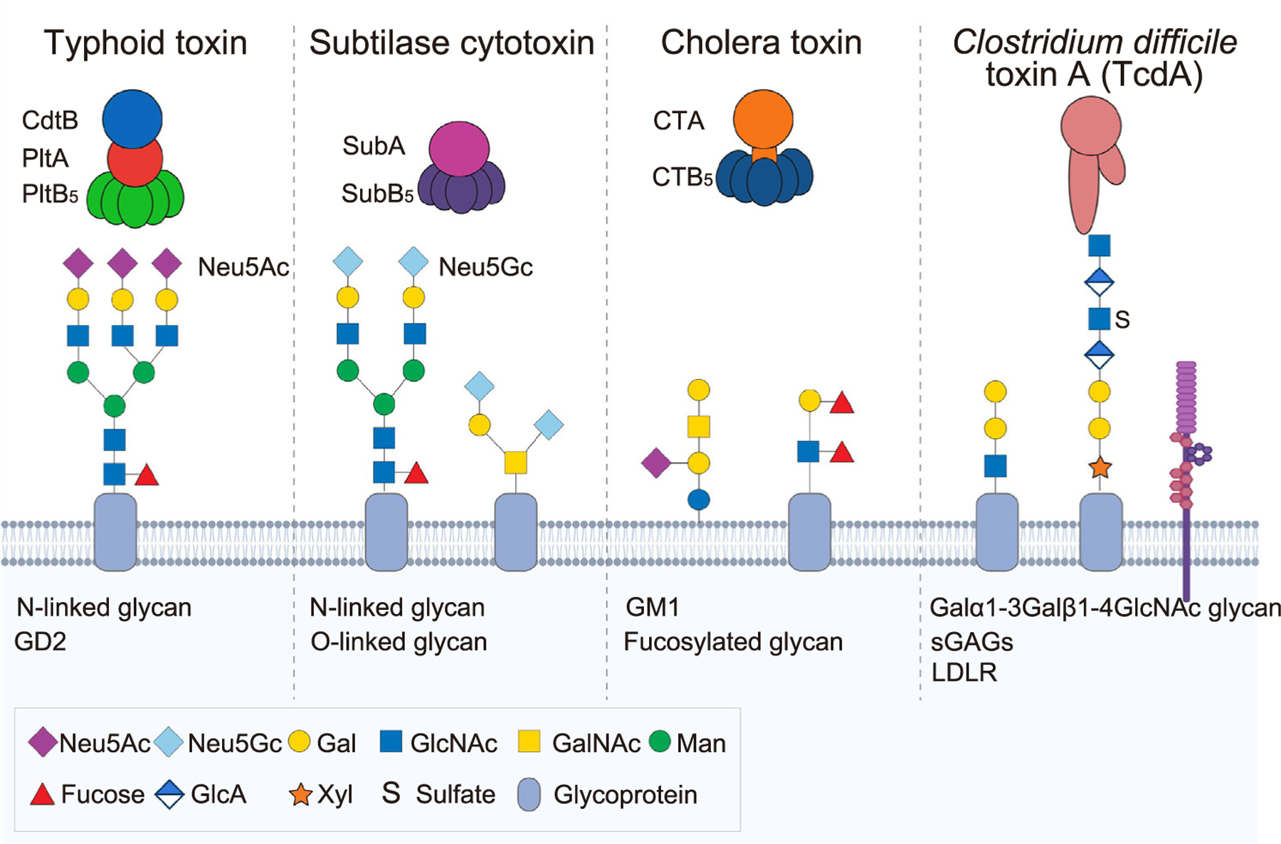 Figure 4.