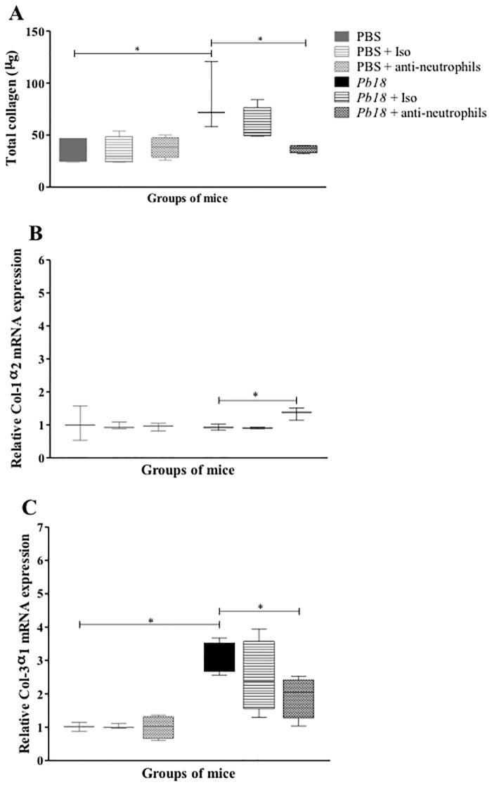 Fig 8