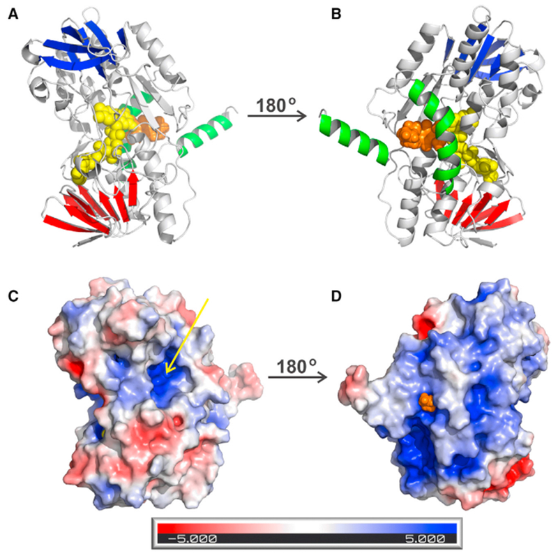 Figure 1.