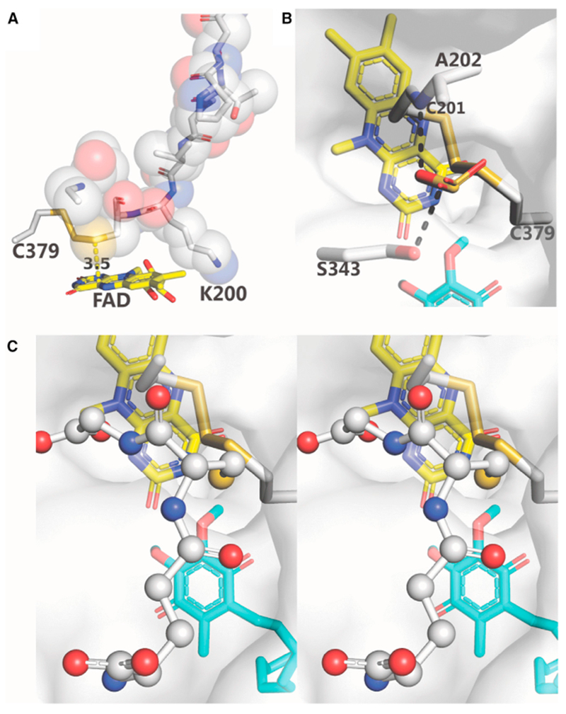 Figure 6.