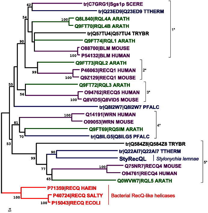 Fig. 2