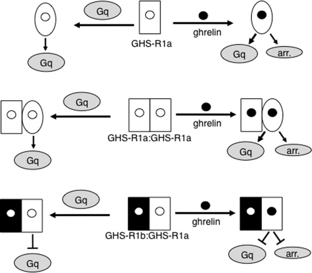 FIGURE 7.