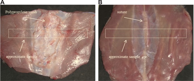 Figure 1A, B