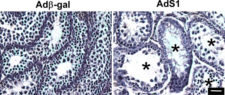 FIG. 6