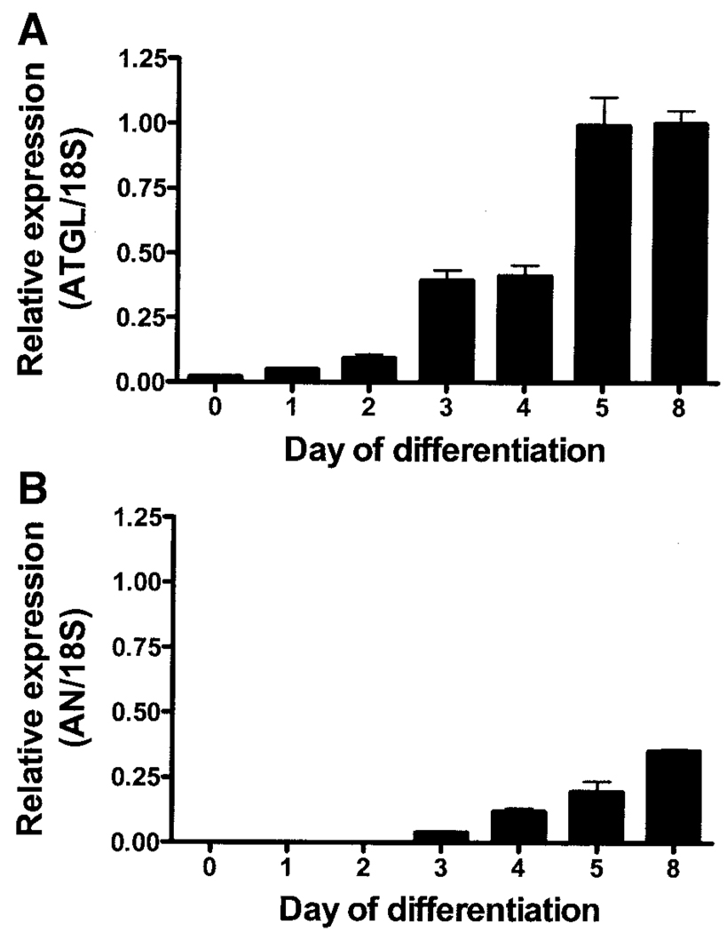 FIG. 1