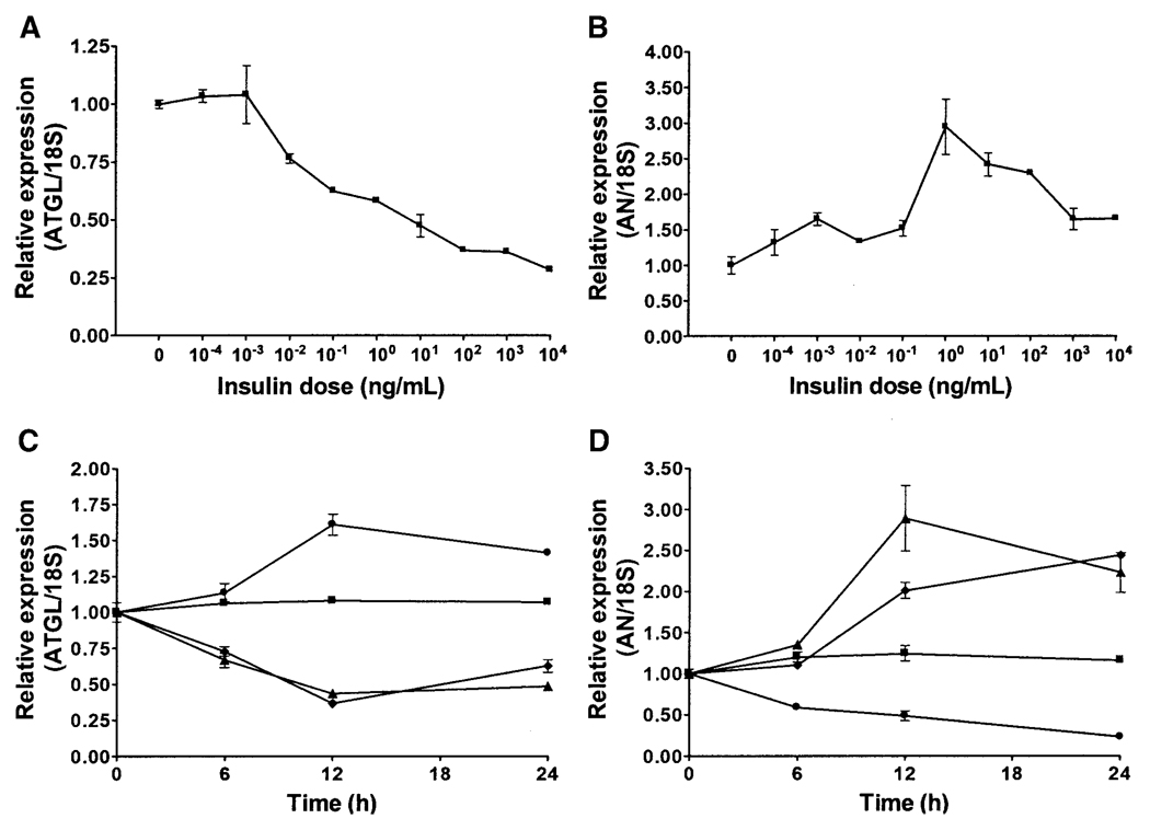 FIG. 7