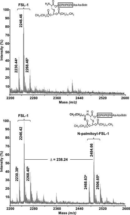 FIGURE 4.