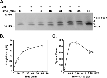 FIGURE 5.