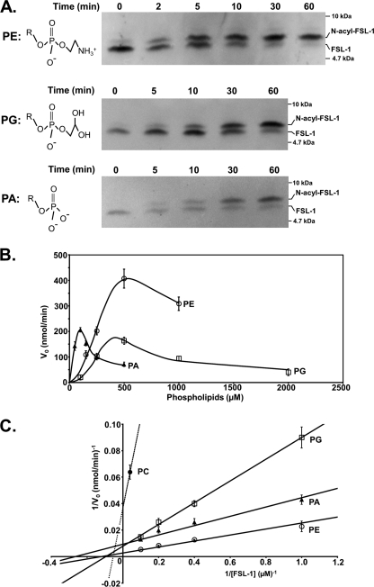 FIGURE 7.