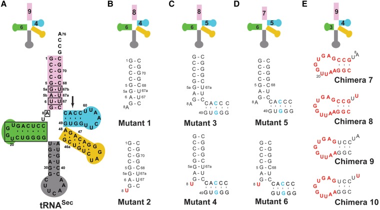 FIGURE 2.