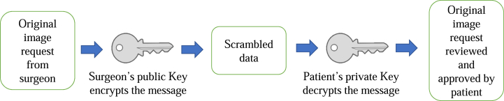 Fig. 2