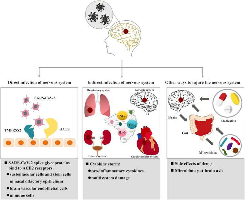 Figure 2: