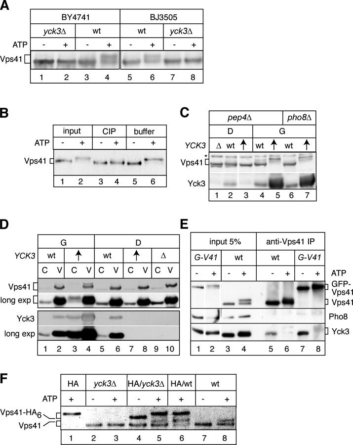 Figure 6.