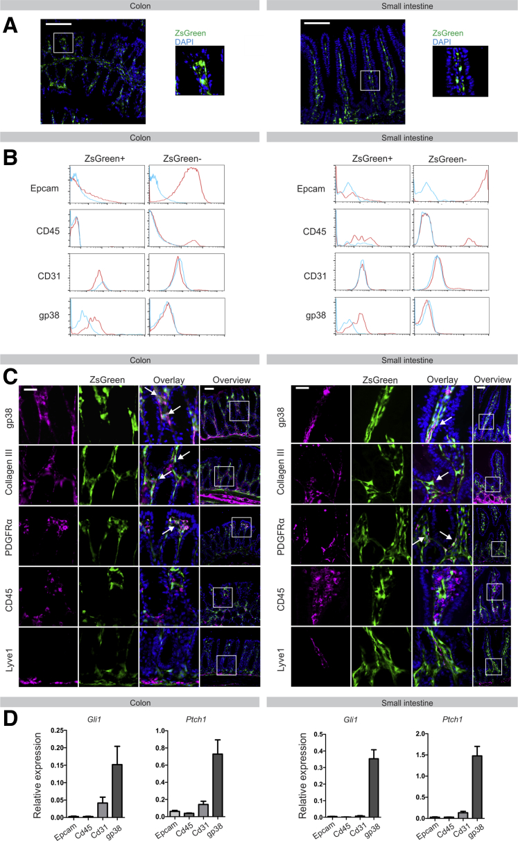 Figure 4