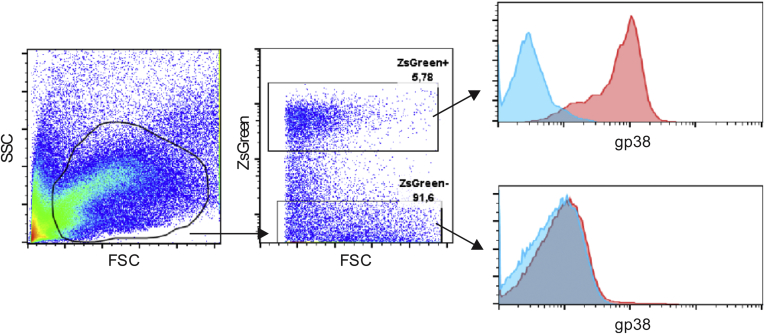 Supplementary Figure 1