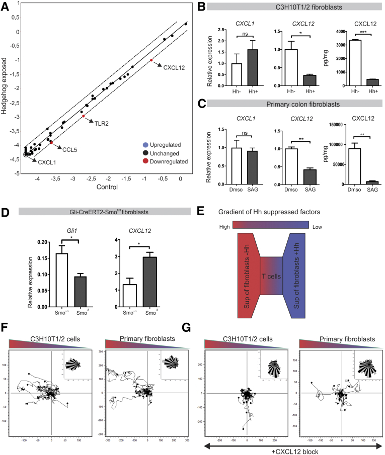 Figure 6